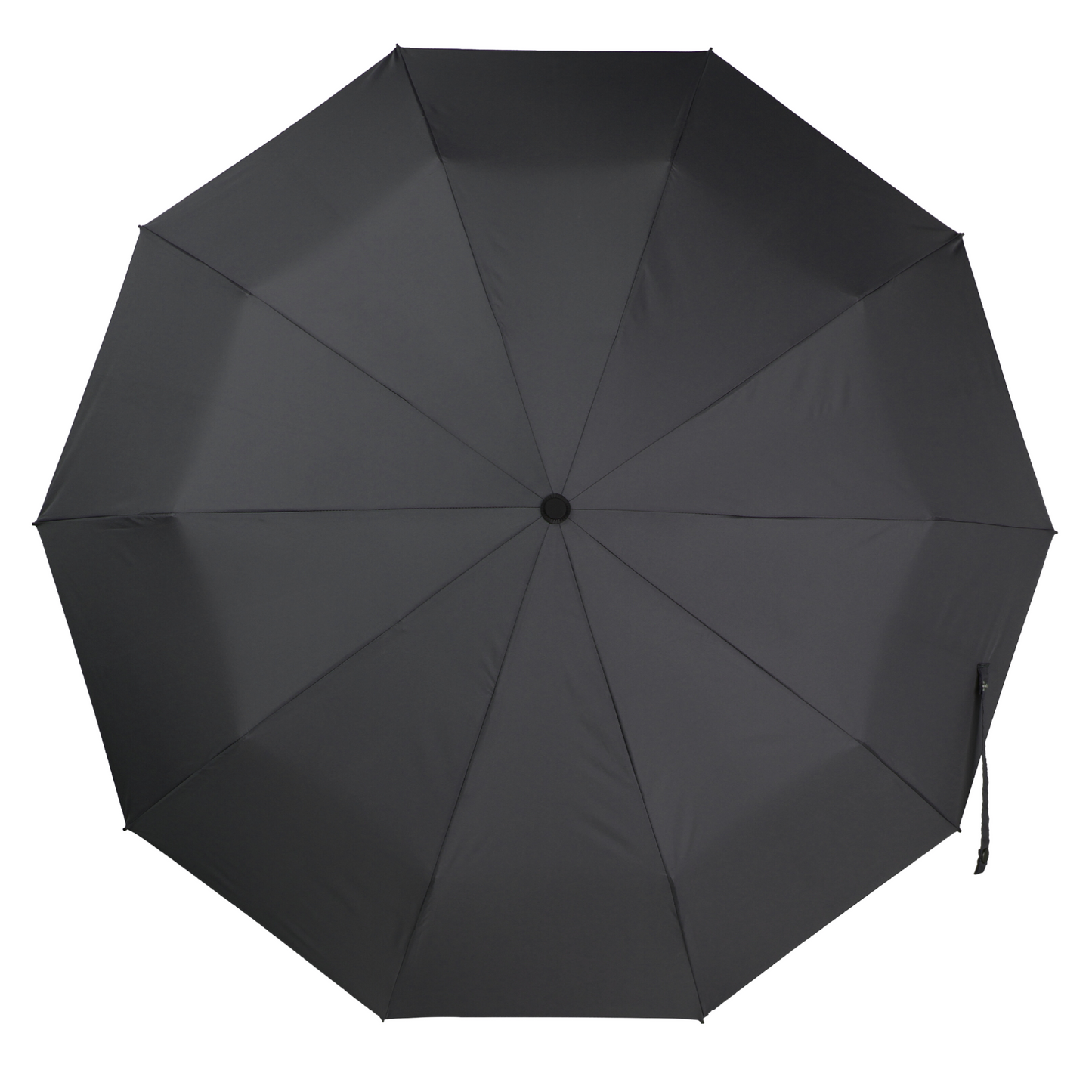 EVERYDAY | Umbrella with Never-Forget Carabiner Handle